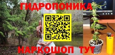 кокс Кунгур