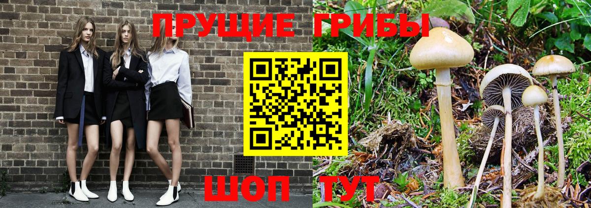 Галлюциногенные грибы Magic Shrooms  Вход с VPN  Киреевск 