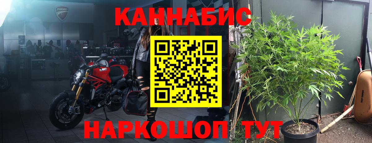 Канабис семена  Вход с VPN  Каннабис семена  Киреевск  Бошки марихуана OG Kush  Конопля Amnesia 